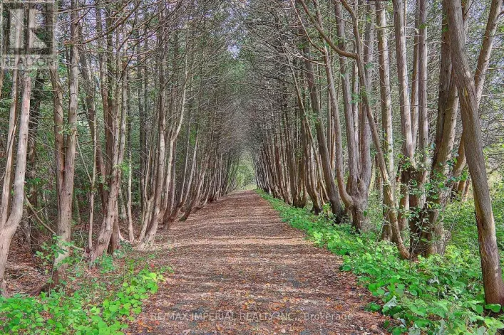 13231 KENNEDY ROAD, Whitchurch-Stouffville