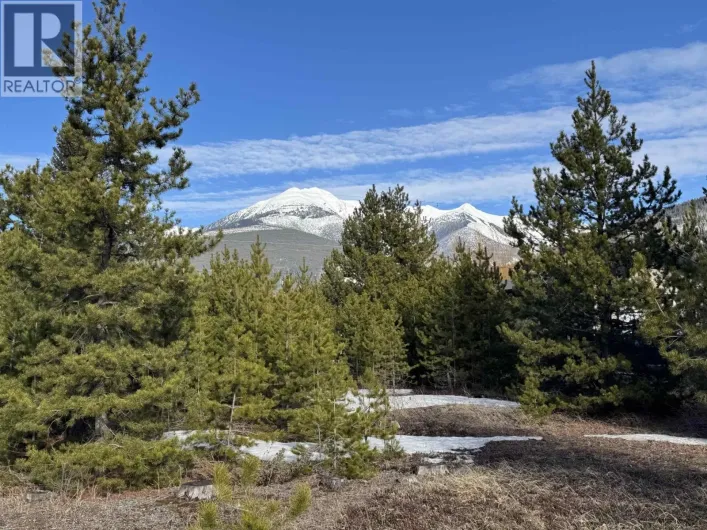 1330 9TH AVENUE, Valemount