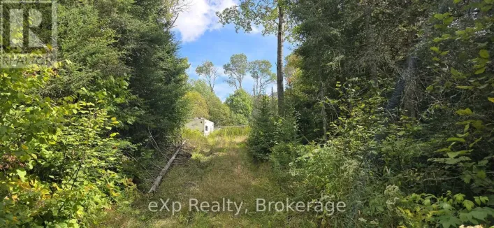 1331 MILLER ROAD, Magnetawan