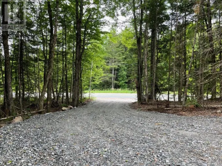 1350 HALIBURTON LAKE RD, Dysart et al