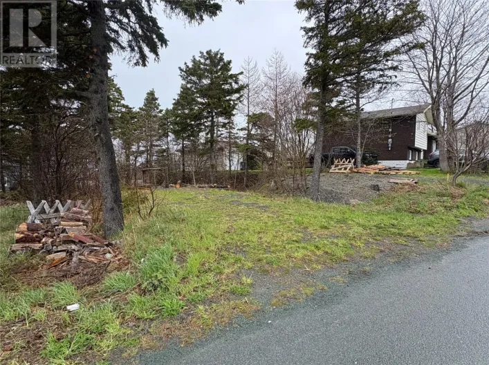 14 Browns Lane, Conception Bay South