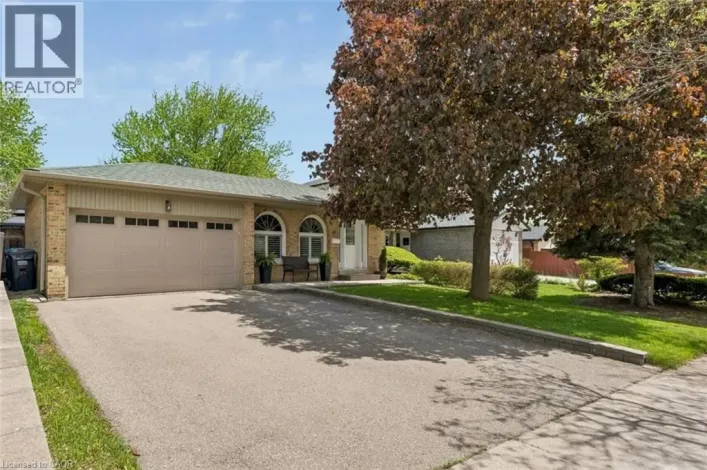 14 MASSEY Street, Brampton