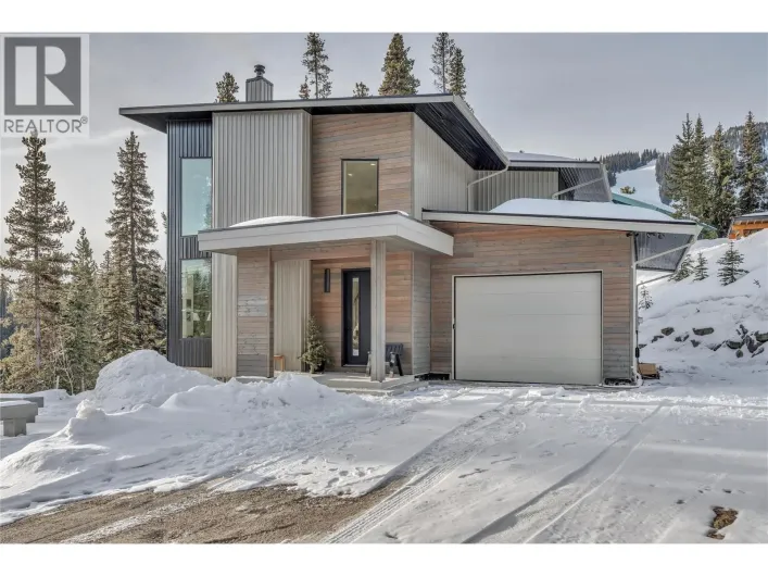 1405 Apex Mountain Road, Apex Mountain