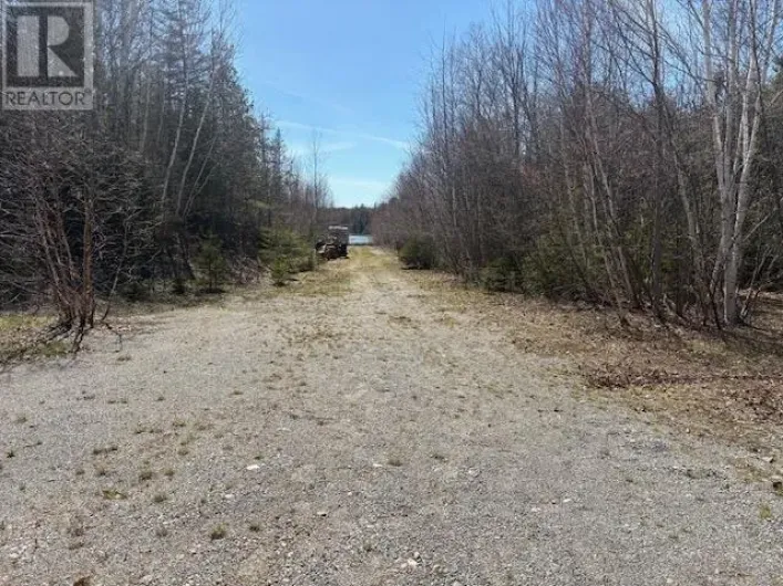 141 Brownlee RD, Thessalon