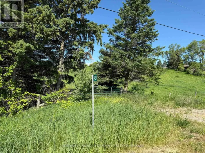 1420 COUNTY ROAD 50, Adjala-Tosorontio
