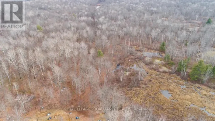 1446 FLINTON ROAD, Tweed)