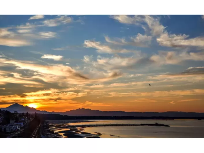 14495 MARINE DRIVE, White Rock