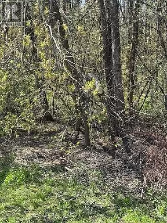 145 COURTLAND STREET, Ramara