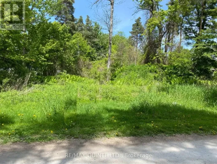 149 EVERGREEN LANE, Brighton