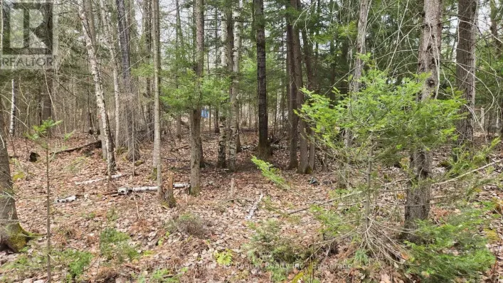 149 PINE LAKE ROAD, Bonfield