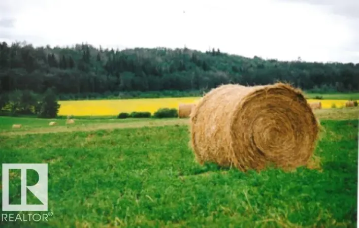 No Building for sale: #15 53304 RGE ROAD 32, Rural Parkland County