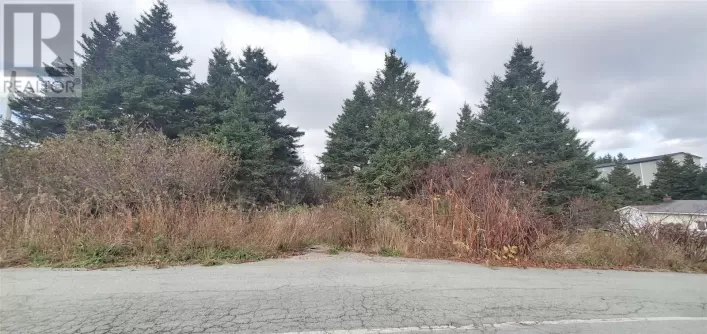 15 Bayview Street, Marystown