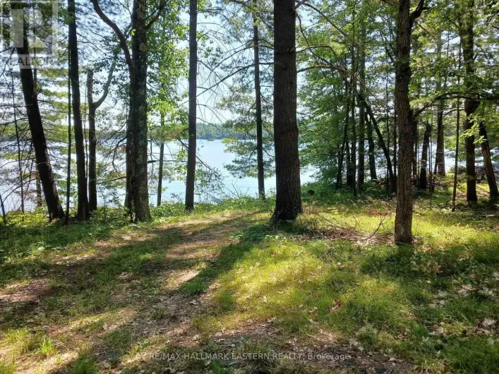 15 FIRE ROUTE 92A KASSHABOG LAKE, Havelock-Belmont-Methuen