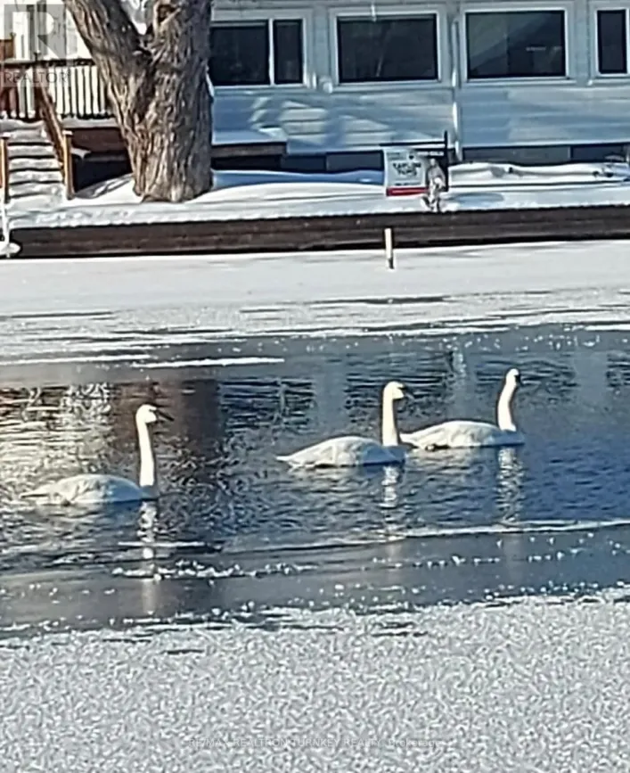 15 NORTH WATER STREET, Kawartha Lakes