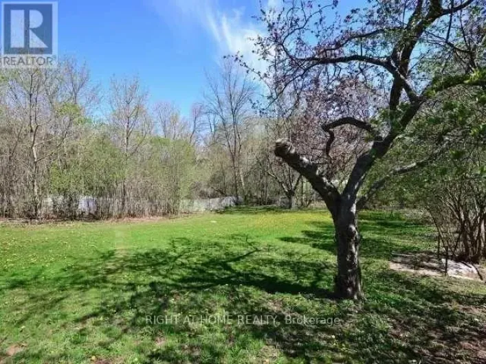 15 PIONEER DRIVE, Mississauga