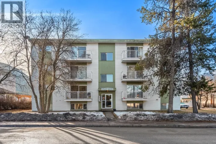 152 SPRUCE Avenue Unit# 203, Sparwood