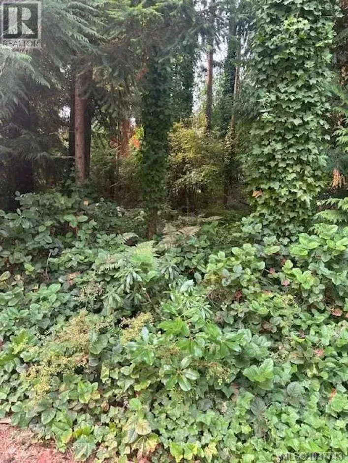 156&160 Harlech Rd, Qualicum Beach