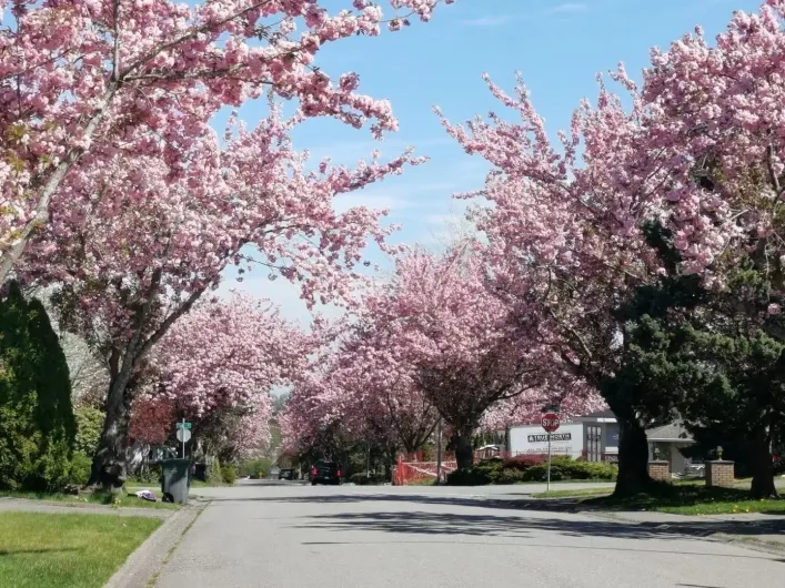 15759 101 AVENUE, Surrey