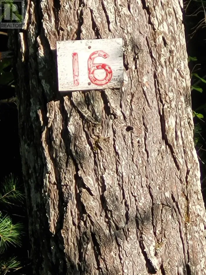 16 Birch Trail, Forties