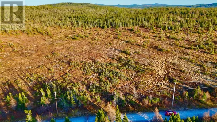 162-182 Riverside Road East, Glovertown