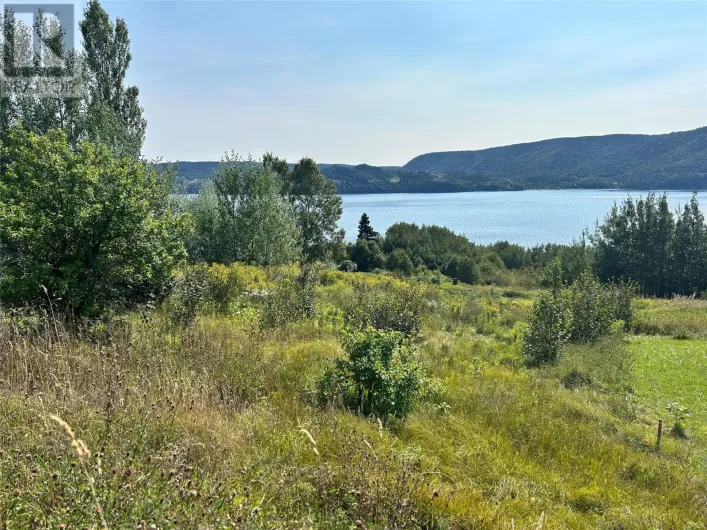 163 North Shore Highway, Meadows