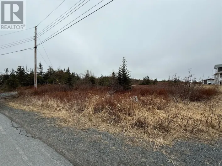 163 Ridge Road, Spaniards Bay
