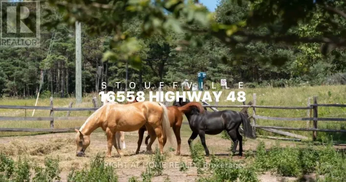 16558 HIGHWAY 48, Whitchurch-Stouffville