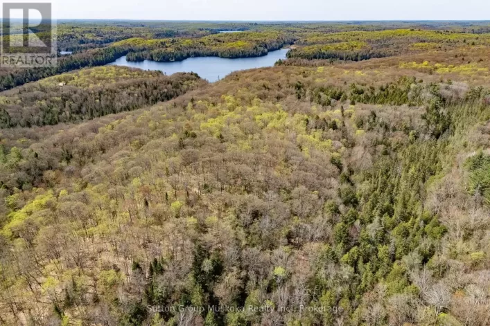 1667 PAINT LAKE ROAD, Lake of Bays