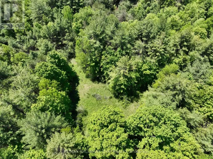 1676 OLD SECOND ROAD S, Springwater