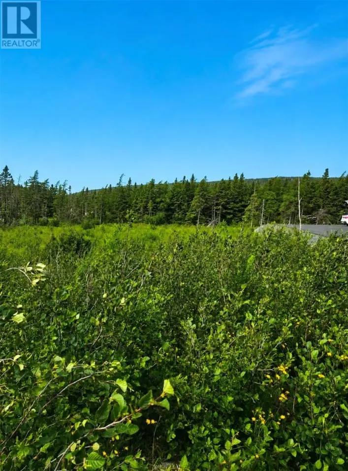 168 Hodgewater Line, South River