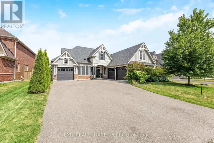 17 ANDERSON AVENUE, Mono