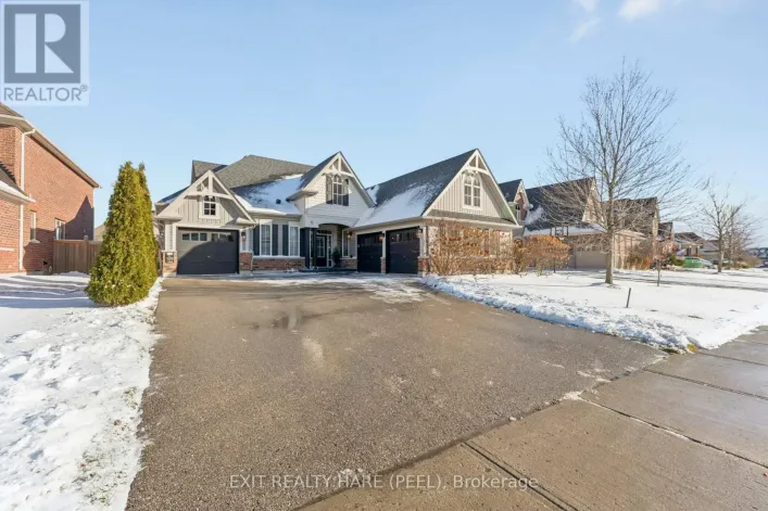 17 ANDERSON AVENUE, Mono