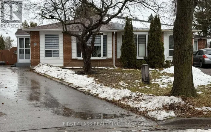 17 BRISBOURNE GROVE, Toronto