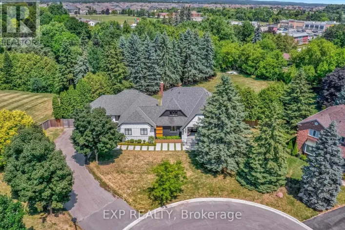 17 CHAMBERLAIN COURT, King