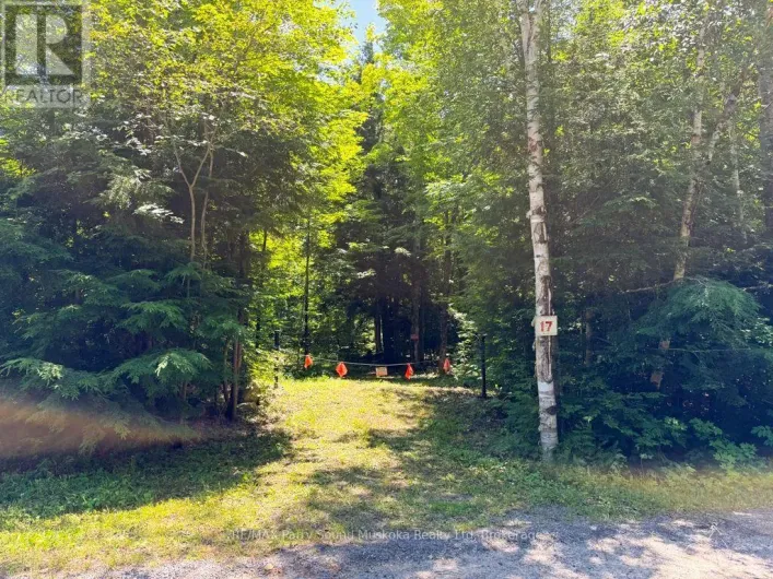 17 WHITE BEAVER TRAIL, McDougall