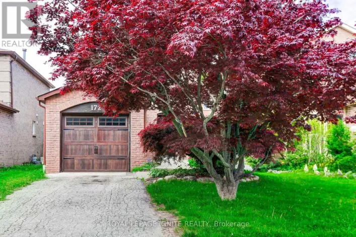 172 RADFORD DRIVE, Ajax