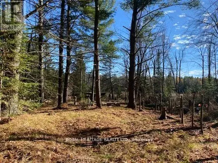 17556 HIGHWAY 62, Madoc