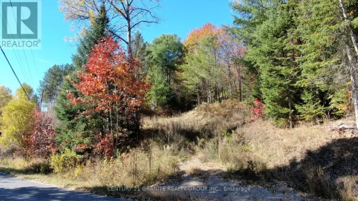 178 GAEBEL ROAD, Bancroft