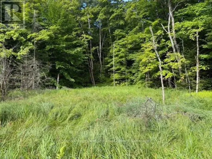 1788 OLD MUSKOKA ROAD, Huntsville