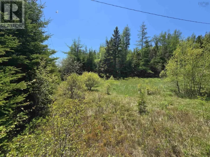 17987 316 Highway, Country Harbour