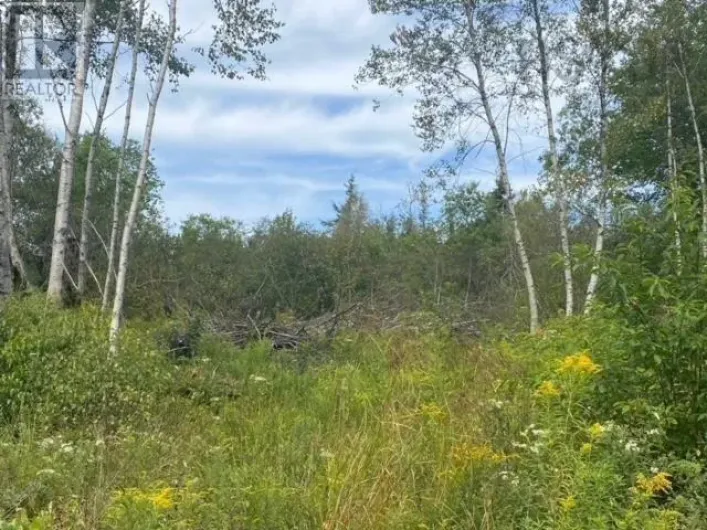 18 Adalynn Lane, Wyses Corner