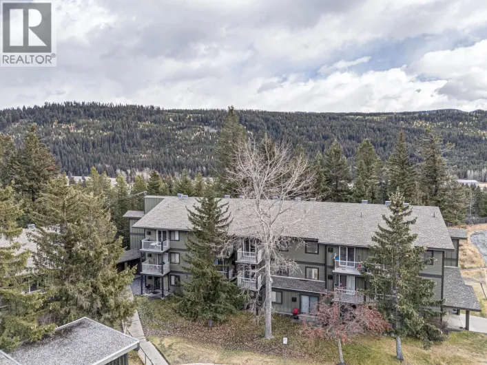1802 ALPINE Drive Unit# 306A, Elkford