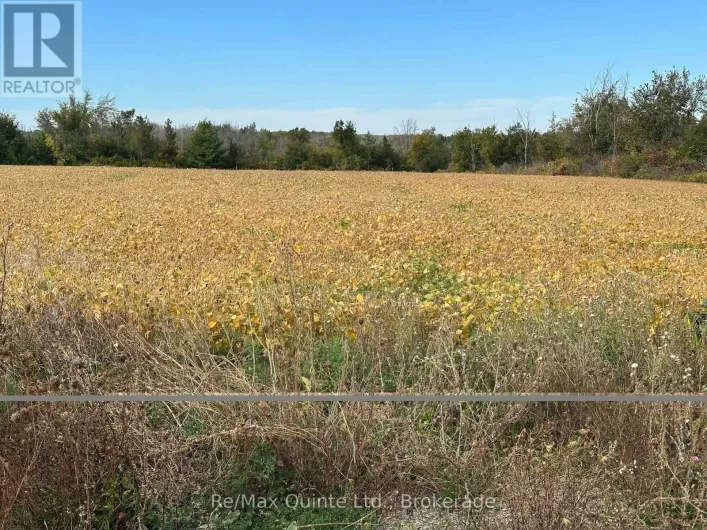 1807 MARYSVILLE ROAD, Tyendinaga