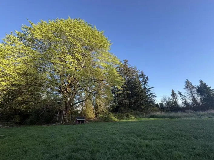 18106 32 AVENUE, Surrey