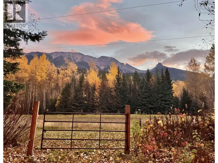 18405 S 5 HIGHWAY, Valemount