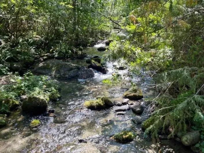 19 19743 FOSTER ROAD|Hope, Hope