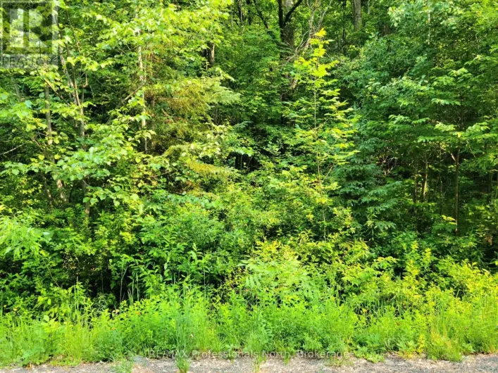 19 - 26 MOUNT VERNON TRAIL, Huntsville