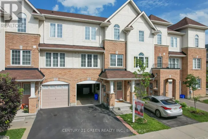 19 ENGLAND TERRACE, Hamilton