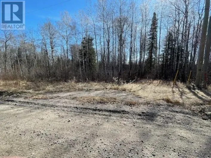 191 LAKEVIEW ROAD, Dryden