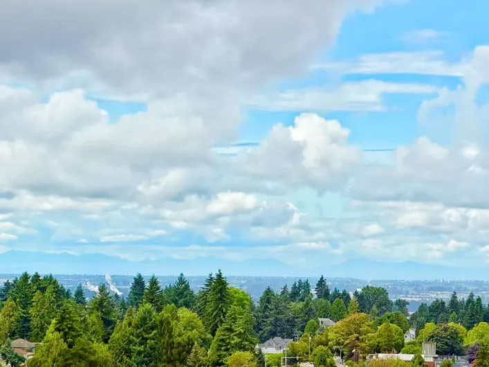 1911 10448 UNIVERSITY DRIVE, Surrey